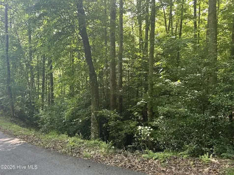 6 Bartram Trail Road Franklin NC 28734