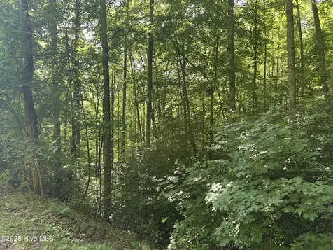 6 Bartram Trail Road Franklin NC 28734