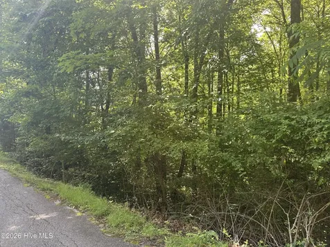 6 Bartram Trail Road Franklin NC 28734