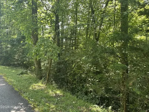 6 Bartram Trail Road Franklin NC 28734