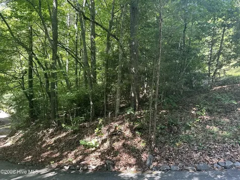 6 Bartram Trail Road Franklin NC 28734