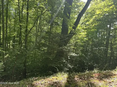 6 Bartram Trail Road Franklin NC 28734
