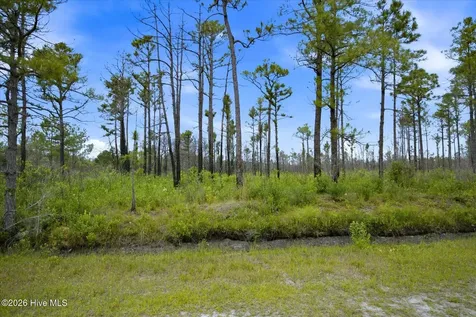 10 Acres Address Tbd Boiling Spring Lakes NC 28461
