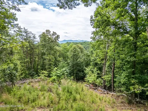 1 Stormy Ridge Brasstown NC 28902