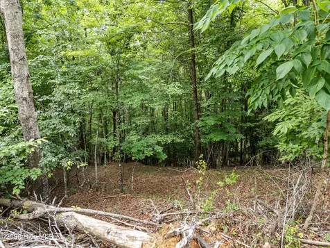 1 Stormy Ridge Brasstown NC 28902