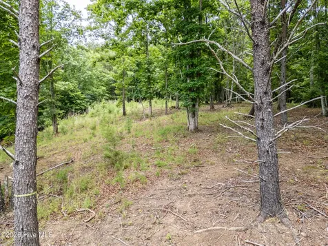 1 Stormy Ridge Brasstown NC 28902