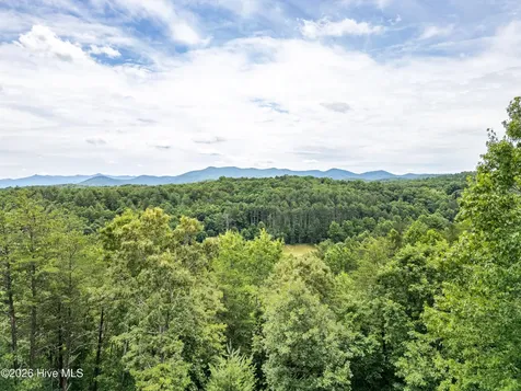 1 Stormy Ridge Brasstown NC 28902