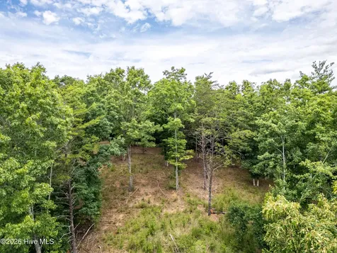 1 Stormy Ridge Brasstown NC 28902