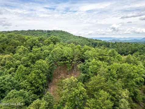 1 Stormy Ridge Brasstown NC 28902