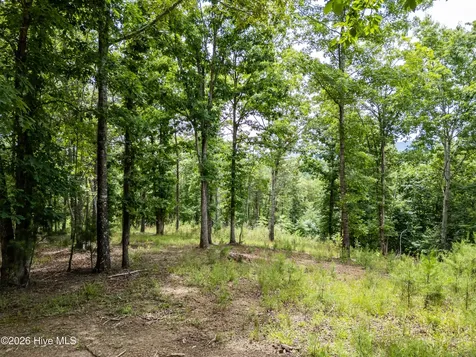 1 Stormy Ridge Brasstown NC 28902