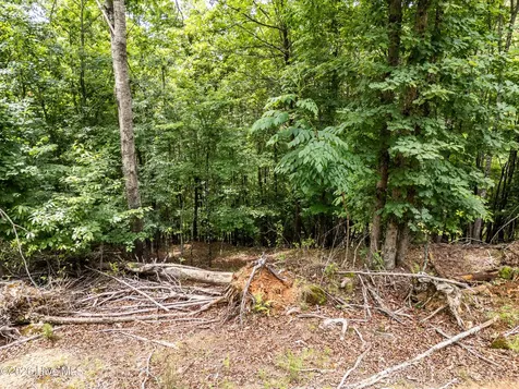 1 Stormy Ridge Brasstown NC 28902