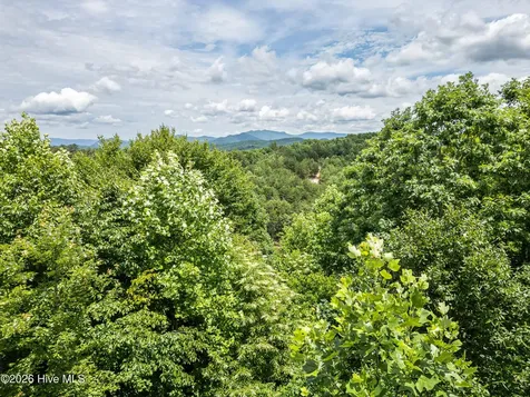 2 Stormy Ridge Brasstown NC 28902