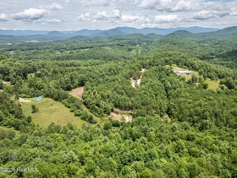 2 Stormy Ridge Brasstown NC 28902