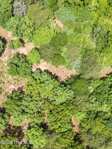 2 Stormy Ridge Brasstown NC 28902