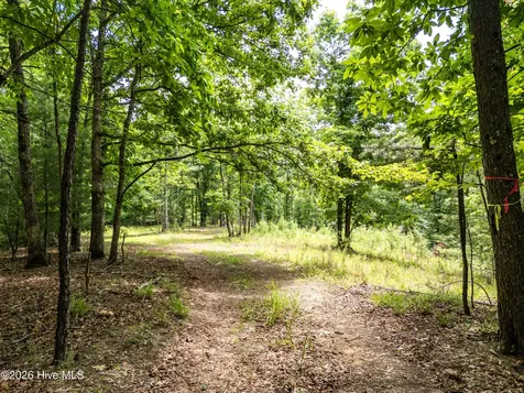 2 Stormy Ridge Brasstown NC 28902