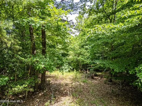2 Stormy Ridge Brasstown NC 28902