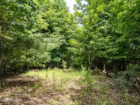 2 Stormy Ridge Brasstown NC 28902