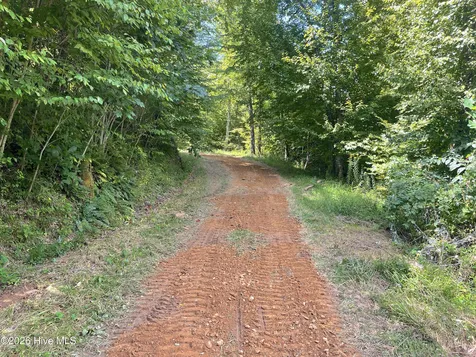 575 Vestal Cochran Road Topton NC 28781