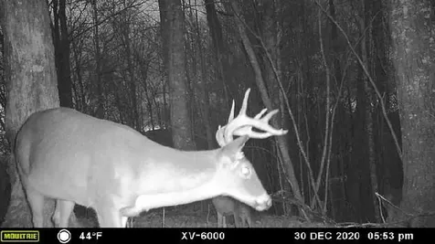575 Vestal Cochran Road Topton NC 28781