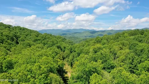 575 Vestal Cochran Road Topton NC 28781