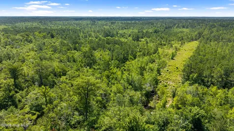 0 Tbd 110 Acres American Way Road Rocky Point NC 28457
