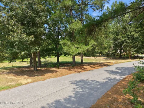 42 Deer Track Drive Clinton NC 28328