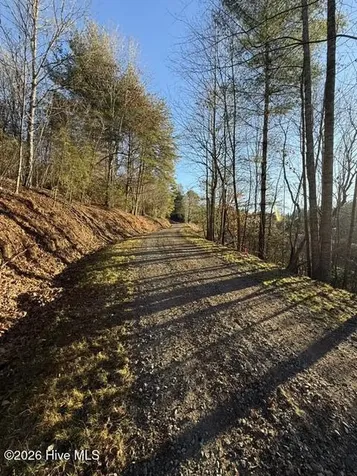 Lot 5 Downings Creek Road Hayesville NC 28904