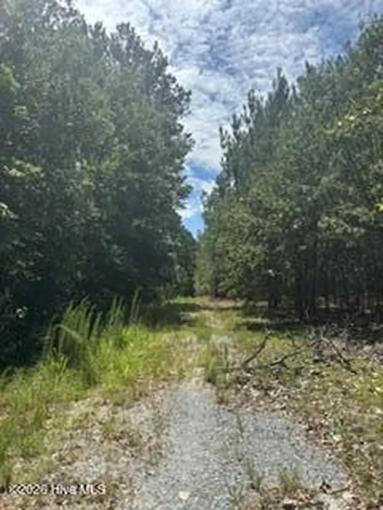 Tbd Boling Way Carthage NC 28327