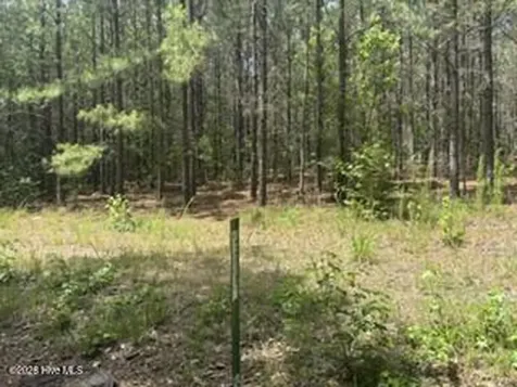 Tbd Boling Way Carthage NC 28327