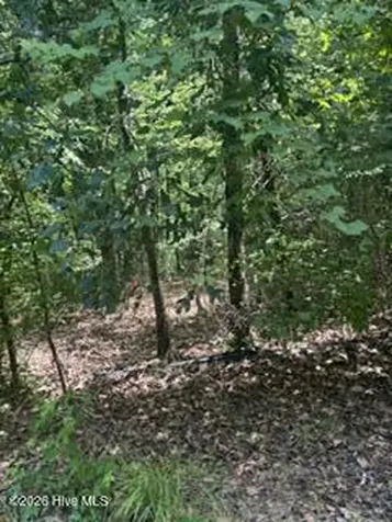 Tbd Boling Way Carthage NC 28327
