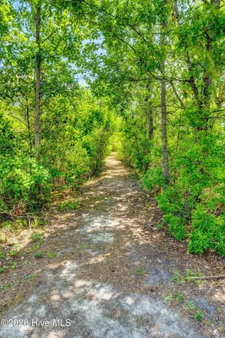 802 Blue Point Drive Wilmington NC 28411