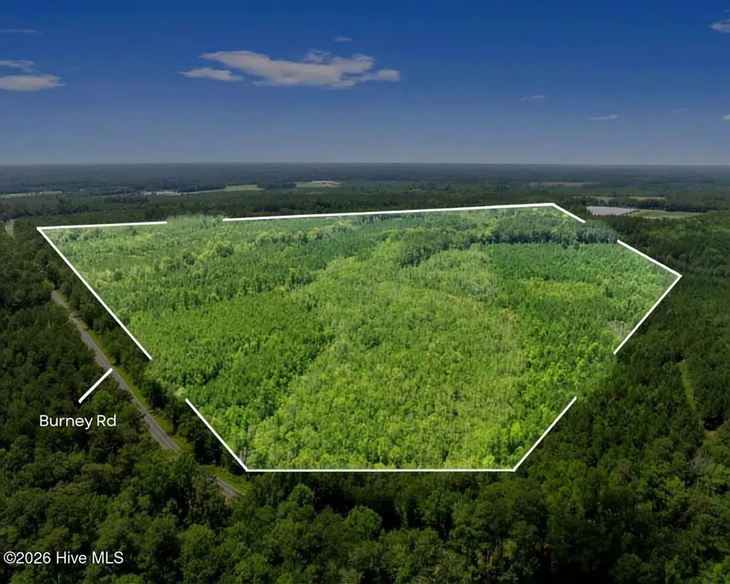 Na Burney Road White Oak NC 28399