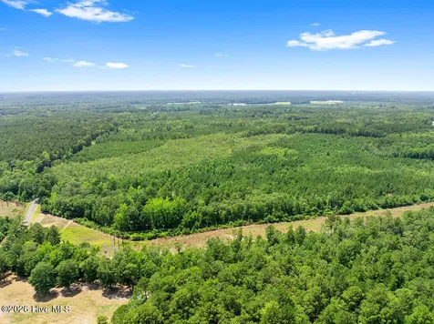 Na Burney Road White Oak NC 28399