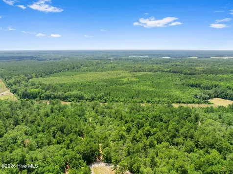 Na Burney Road White Oak NC 28399
