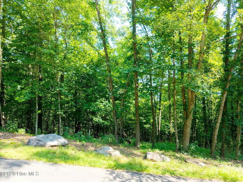 46 Buck Ridge Drive Murphy NC 28906