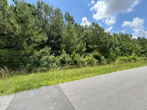 0 Progress Drive Burgaw NC 28425