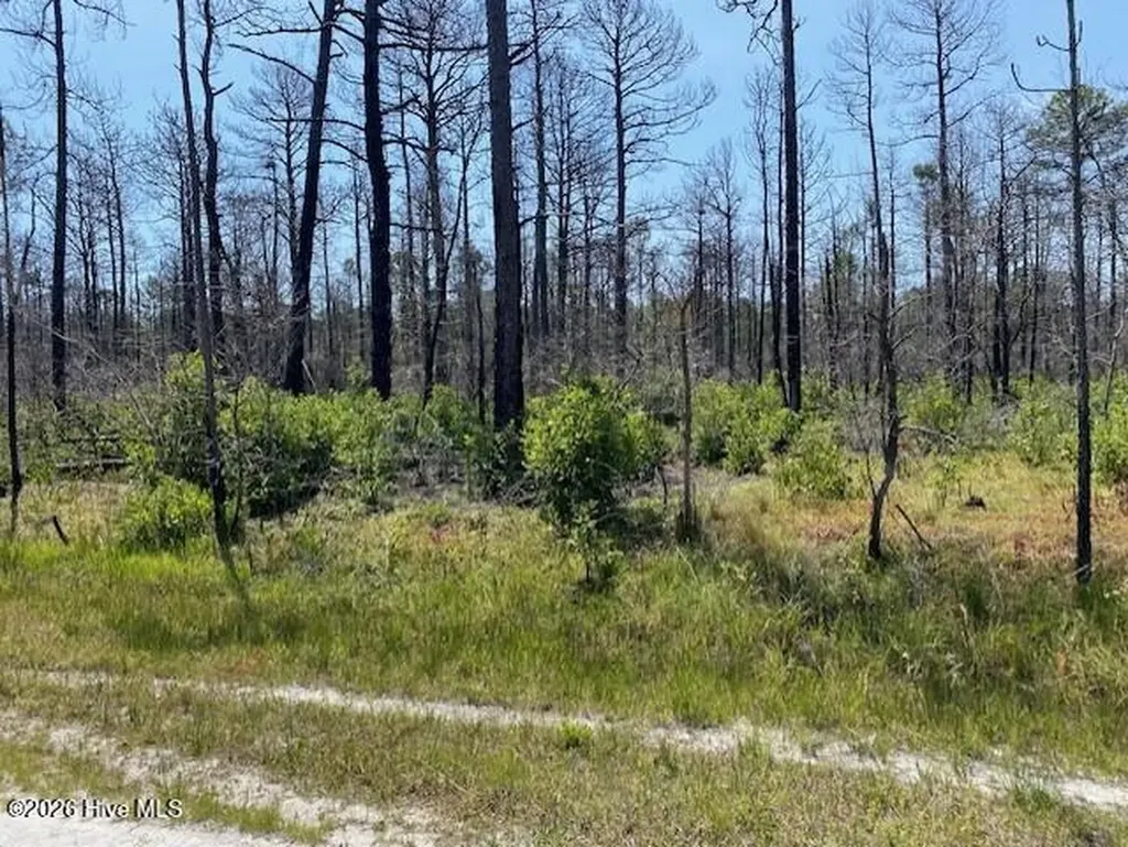 799 Jasmine Road Boiling Spring Lakes NC 28461