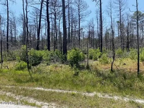 799 Jasmine Road Boiling Spring Lakes NC 28461