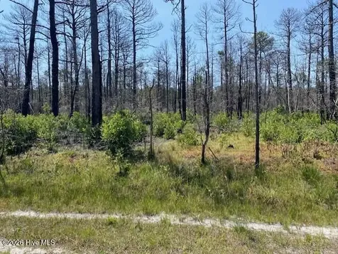 799 Jasmine Road Boiling Spring Lakes NC 28461