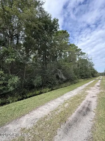 Lot 7 Maple Road Boiling Spring Lakes NC 28461