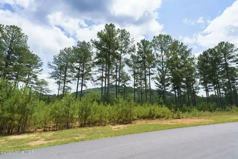 Lot 343 Loop Lane Blairsville GA 30512