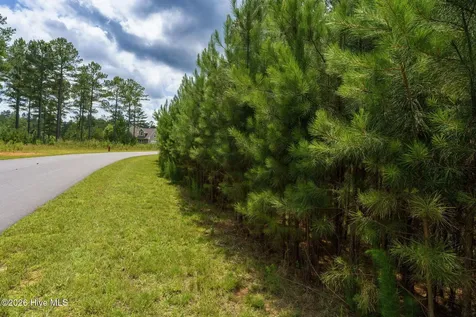 Lot 343 Loop Lane Blairsville GA 30512