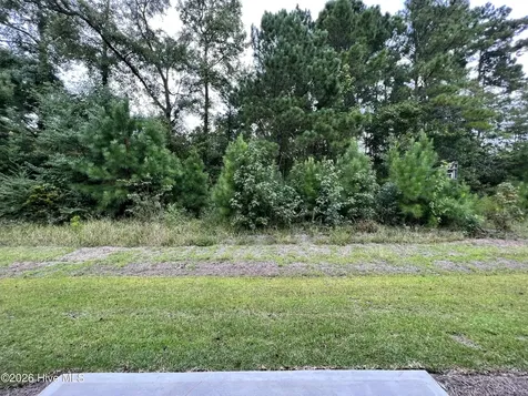 3618 Roseblossom Drive Leland NC 28451