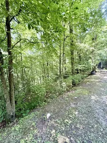 89 Dog Hollow Robbinsville NC 28771