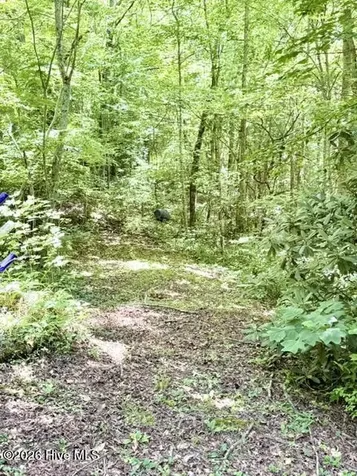 89 Dog Hollow Robbinsville NC 28771