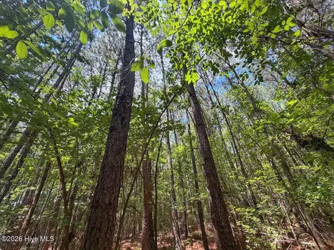 04 Titan Roberts Road Erwin NC 28339