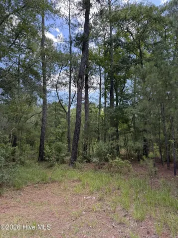 532 Old Hoover Bridge Road Elizabethtown NC 28337