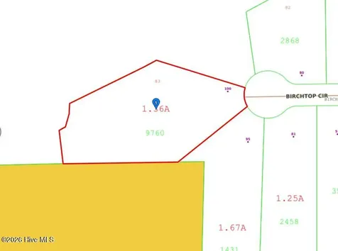 100 Birchtop Circle Zebulon NC 27597