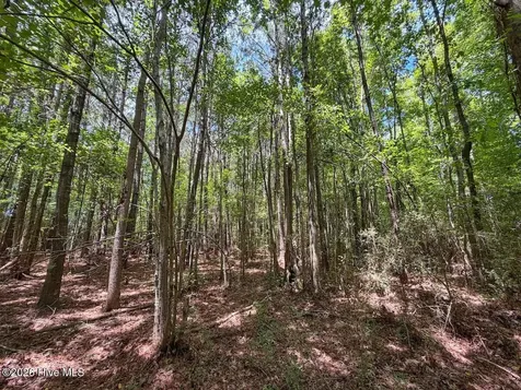 03 Titan Roberts Road Erwin NC 28339