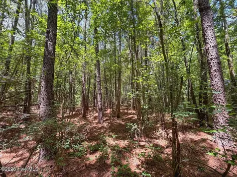 03 Titan Roberts Road Erwin NC 28339